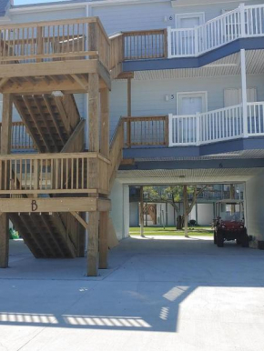 Bay Tree B5